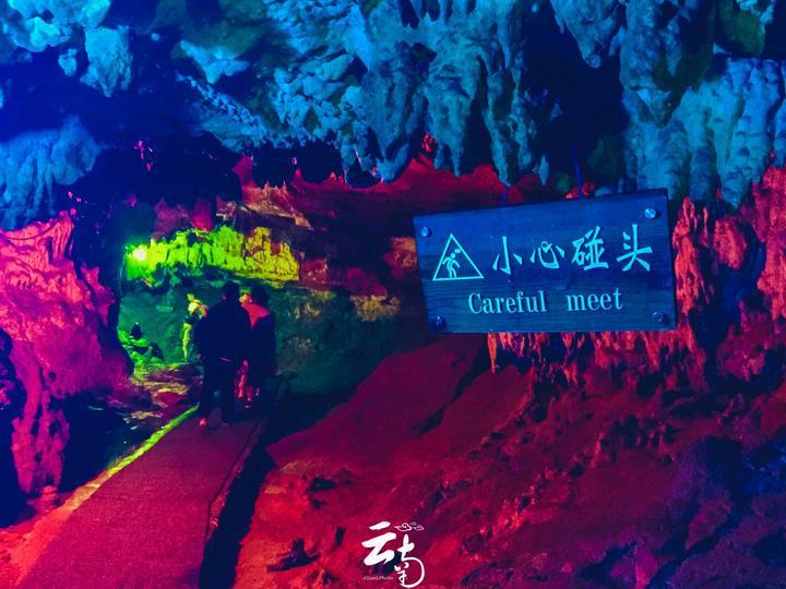 放飞笼中鸟