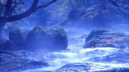 去年全球电子纸平板出货量同比增长17.2% 中国市场123万台